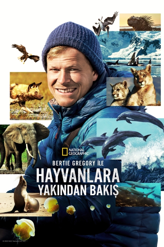 Bertie Gregory ile Hayvanlara Yakından Bakış