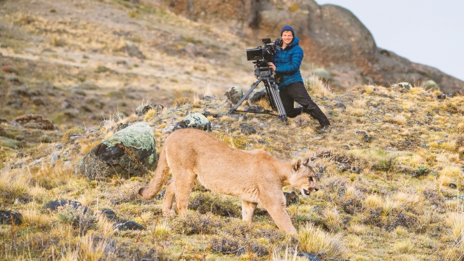 Bertie Gregory ile Hayvanlara Yakından Bakış
